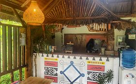 Sumatra Orangutan Discovery Villa